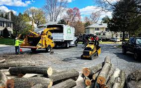 Best Lawn Maintenance Plans  in Ardsley, NY